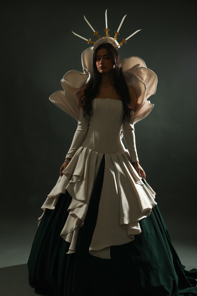 صورة المشروع