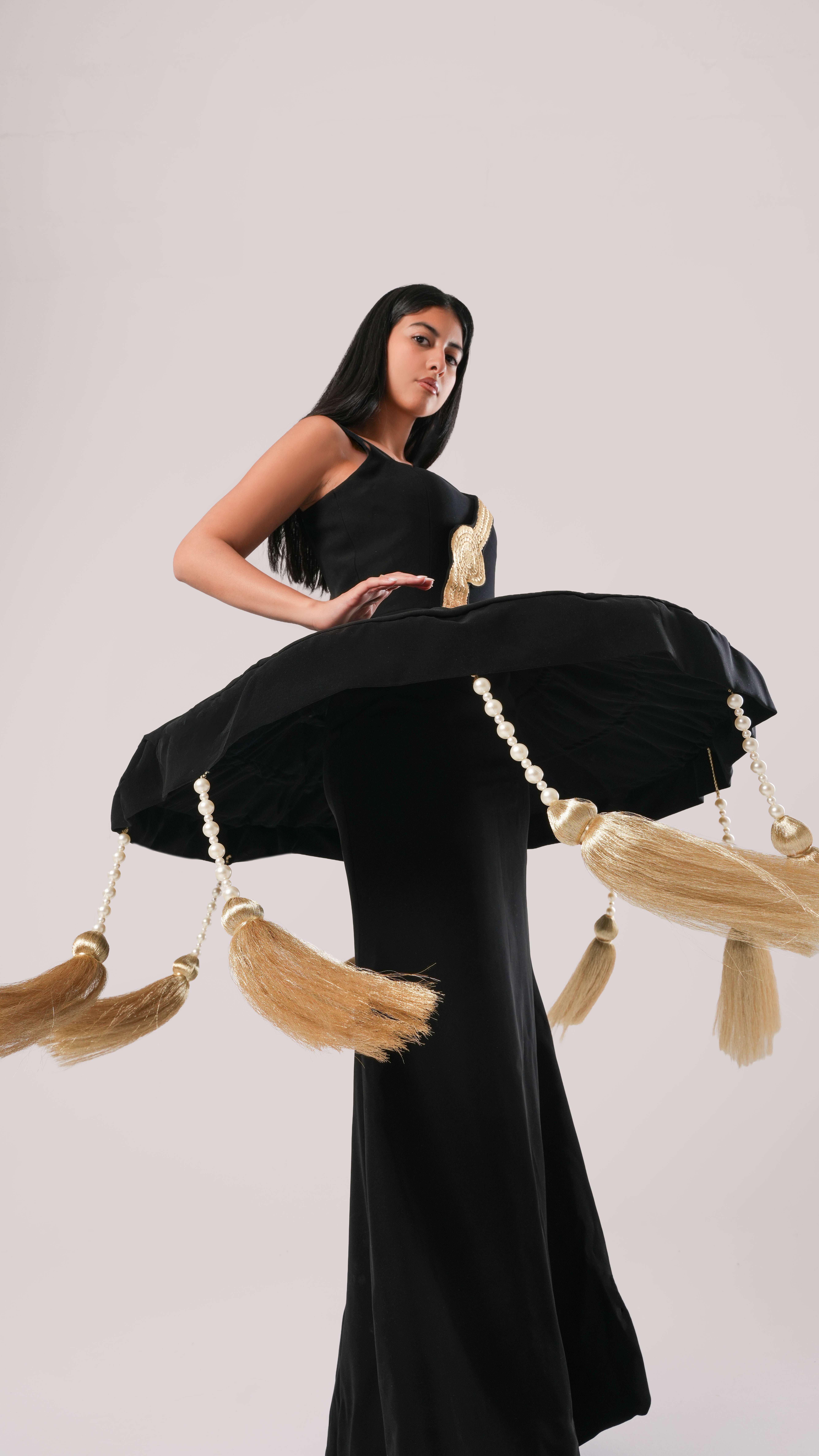 صورة المشروع